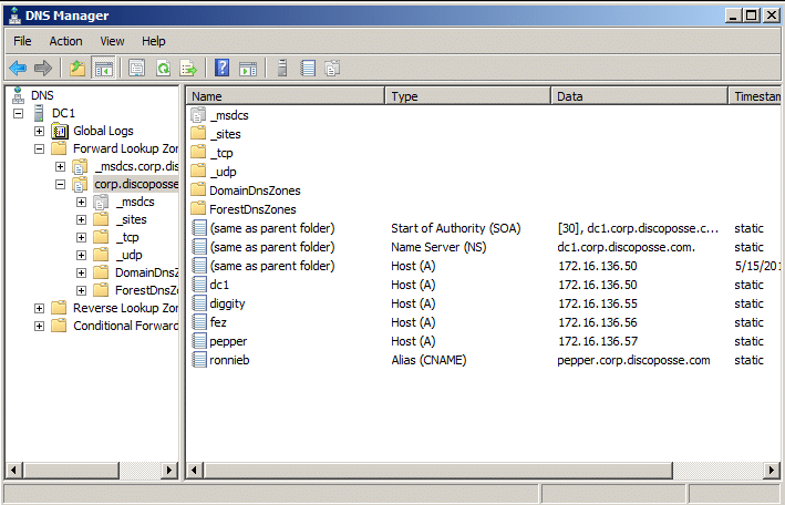 dnszone-before
