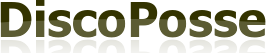 DiscoPosse – Using the chicken to measure IT